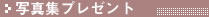 �O�\�E�K�[�f���{�H�ʐ^�v���[���g